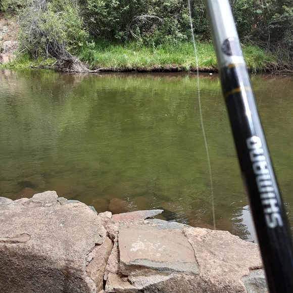 Meet your Posher, Matthew - Picture 3 of 7